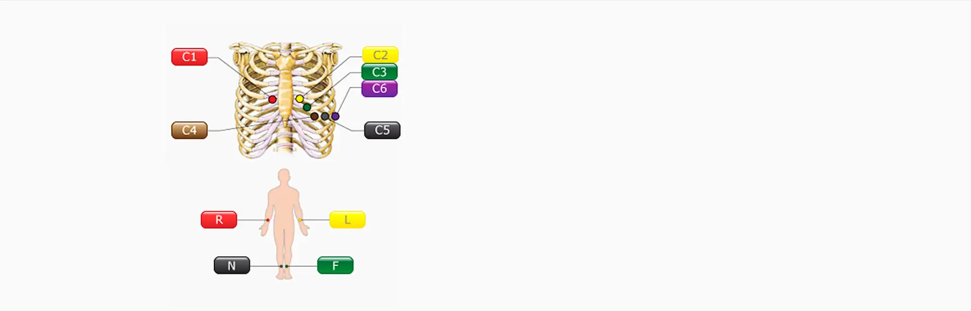 12-channel-ECG-machine-SE-12-05
