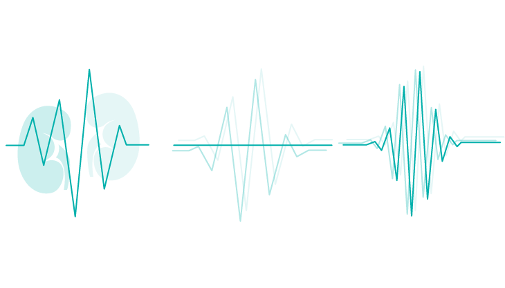 Pulse Inversion Harmonic Imaging